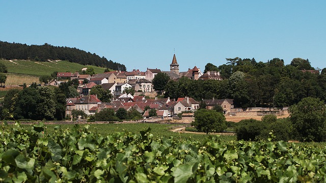 Vignoble Bourgogne - Village