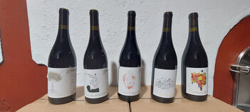 Domaine Montluzia - Vins