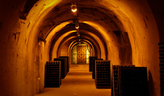 Visite de caves - Route de Champagne