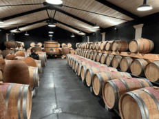 Visite d'un chai dans le Médoc