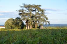 Visite du Château des Bachelards et dégustation au coeur de l'appellation Fleurie