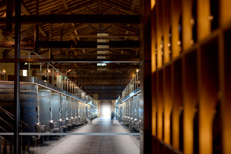 Visite cuverie - Domaine à Odenas - Beaujolais